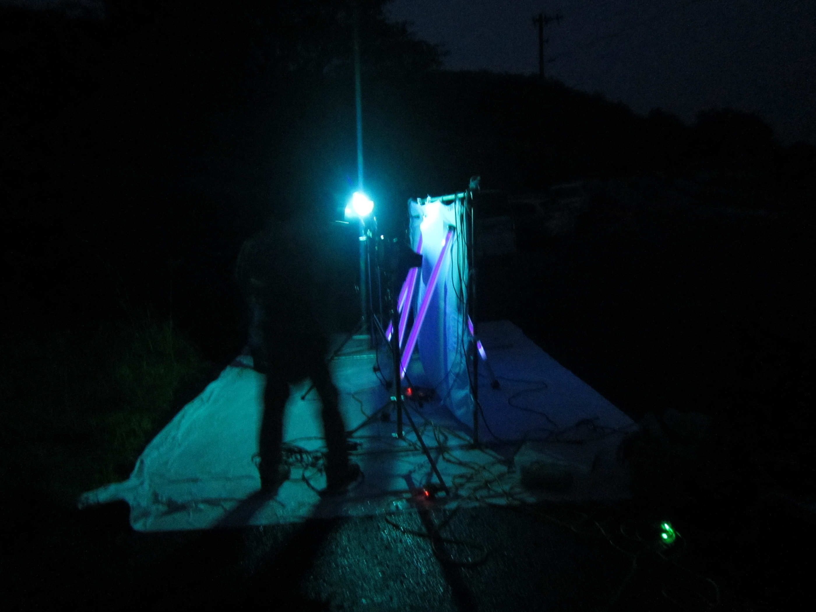 茶臼山ライトトラップ 2022年9月3日（土）19:00 - 4日（日）朝 | 西